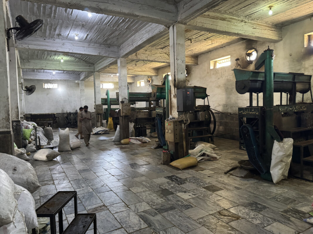 Kacchi Ghani mustard oil extraction process