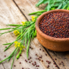 Mardan mustard seeds harvest KPK