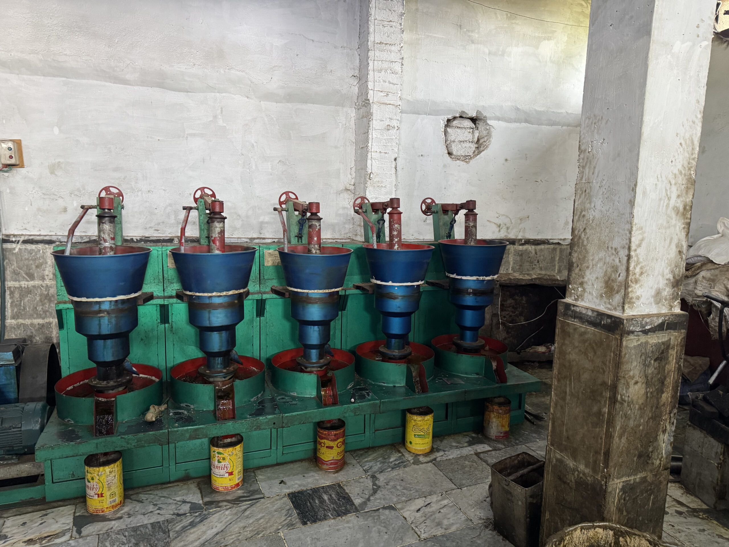 Kacchi Ghani cold press mustard oil machine
